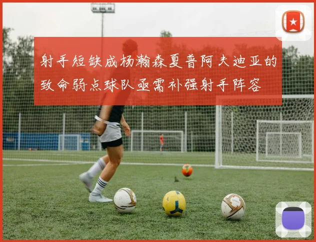 射手短缺成杨瀚森夏普阿夫迪亚的致命弱点球队亟需补强射手阵容