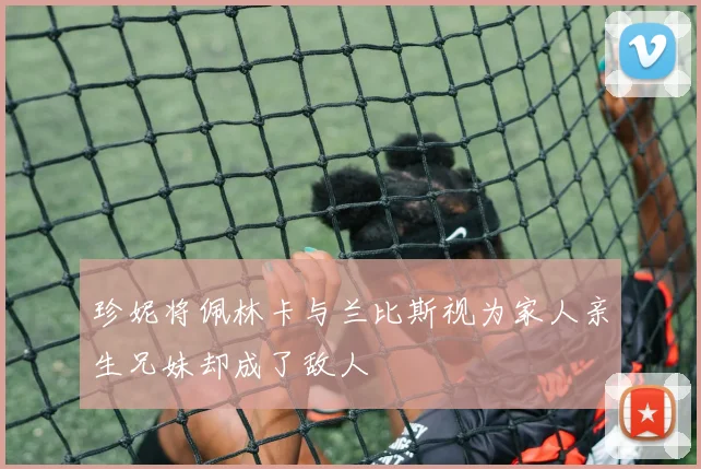 珍妮将佩林卡与兰比斯视为家人亲生兄妹却成了敌人