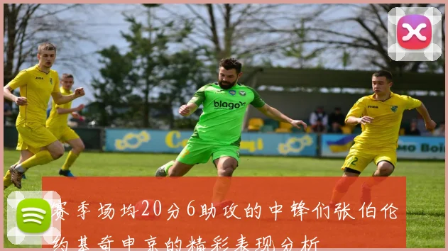 赛季场均20分6助攻的中锋们张伯伦约基奇申京的精彩表现分析