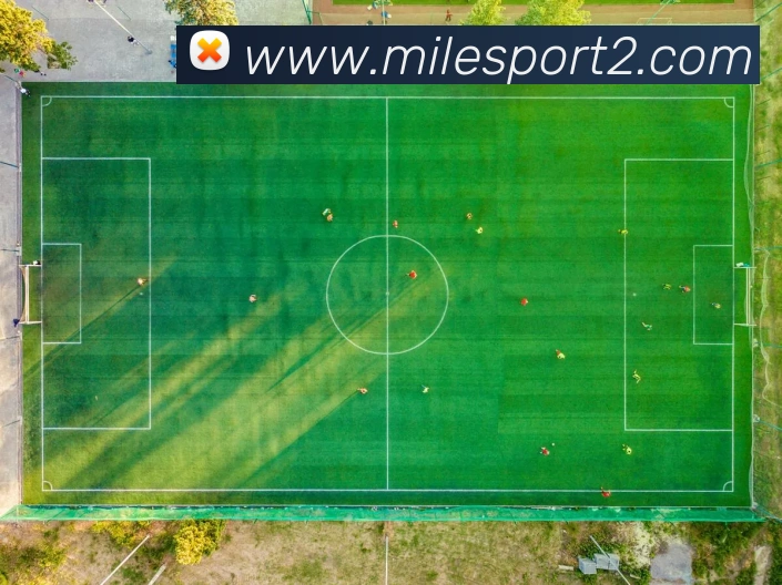 米乐体育服务体系